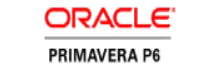 p6_logo